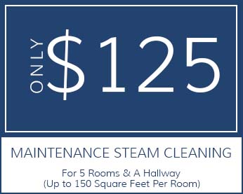 $125 Maintenance Steam Cleaning - For 5 Rooms & A Hallway (Up to 150 Square Feet Per Room)